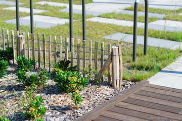 Photographie du parvis du PEX de Strasbourg.