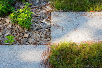 Photographie du parvis du PEX de Strasbourg.